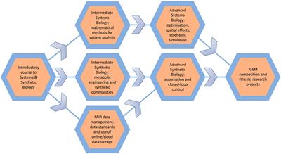 Research-driven education: An introductory course to systems and synthetic biology